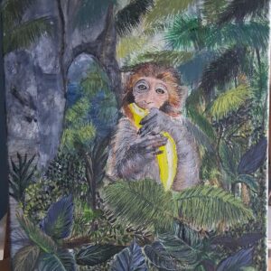 Η Zούγκλα της Τσίτας- Τhe Cheetah Jungle